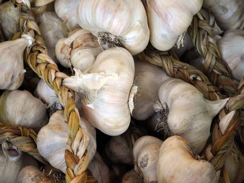 Aglio dell’Ufita PAT