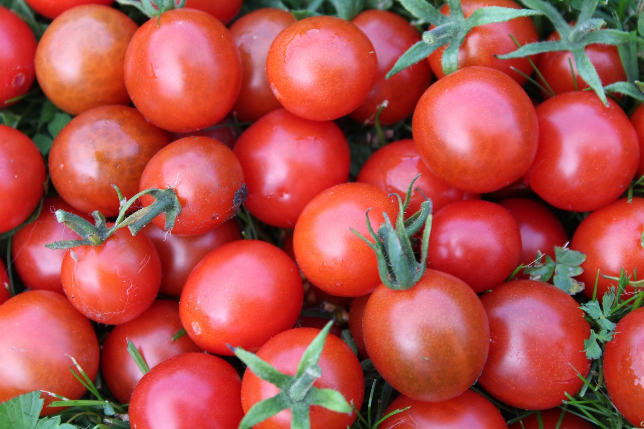 Pomodorino dell’Ufita PAT